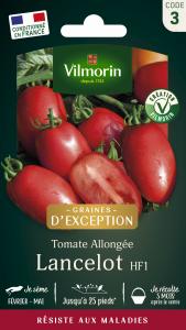 Tomate Lancelot HF1 - Graines d'Exception